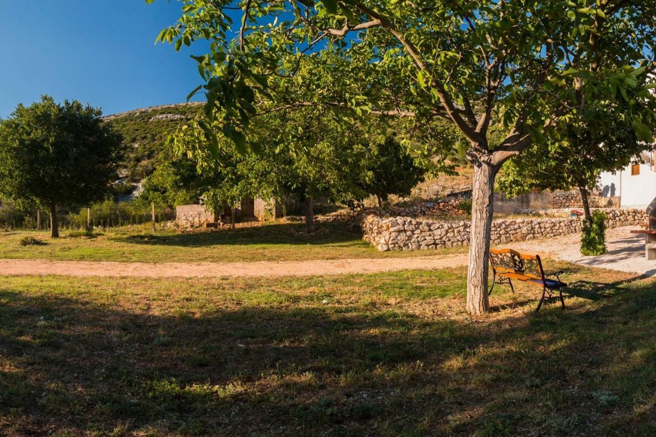 Kuca Za Odmor Lucija Apartment Vrana  Luaran gambar